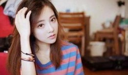 金姐爆料文章大全最新,揭秘娱乐圈最新热点事件大盘点